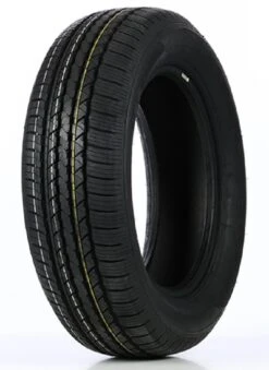 Double Coin DS66 TL 225/55R19 99V