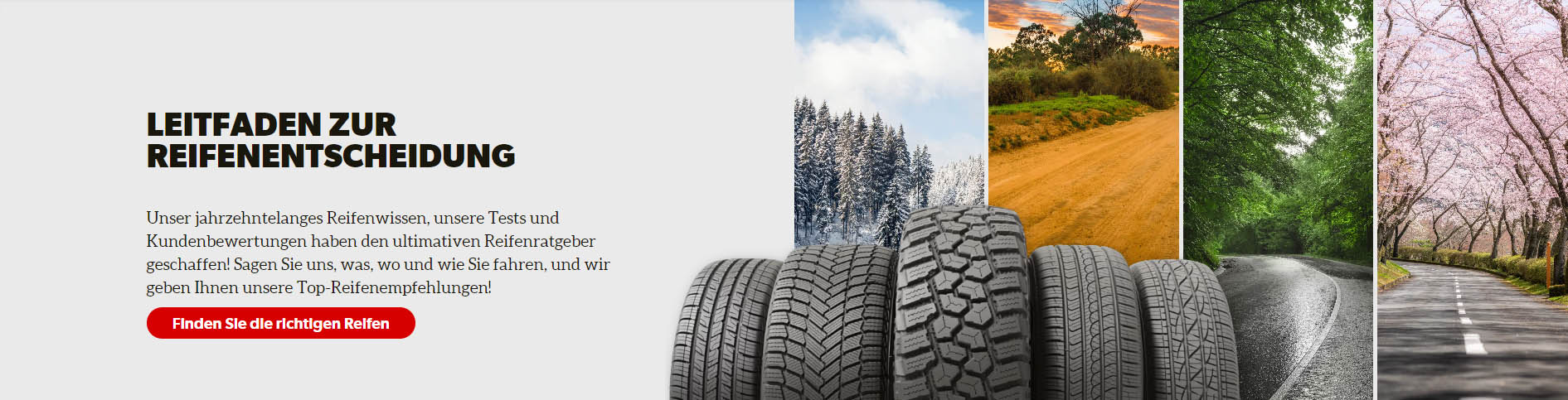 Berühmter Autoreifen Laden -Berühmter Autoreifen Laden fhfhdgt